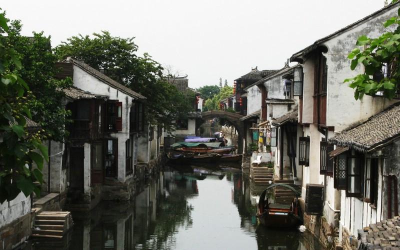 虎胆熊威3